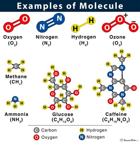 how are molecular models similar to real molecules